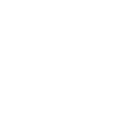Caravan normale Größe Icon Weiss