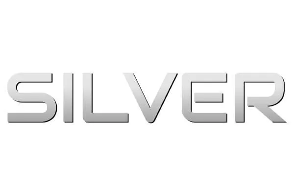 Markenlogo-Trigano-Silver